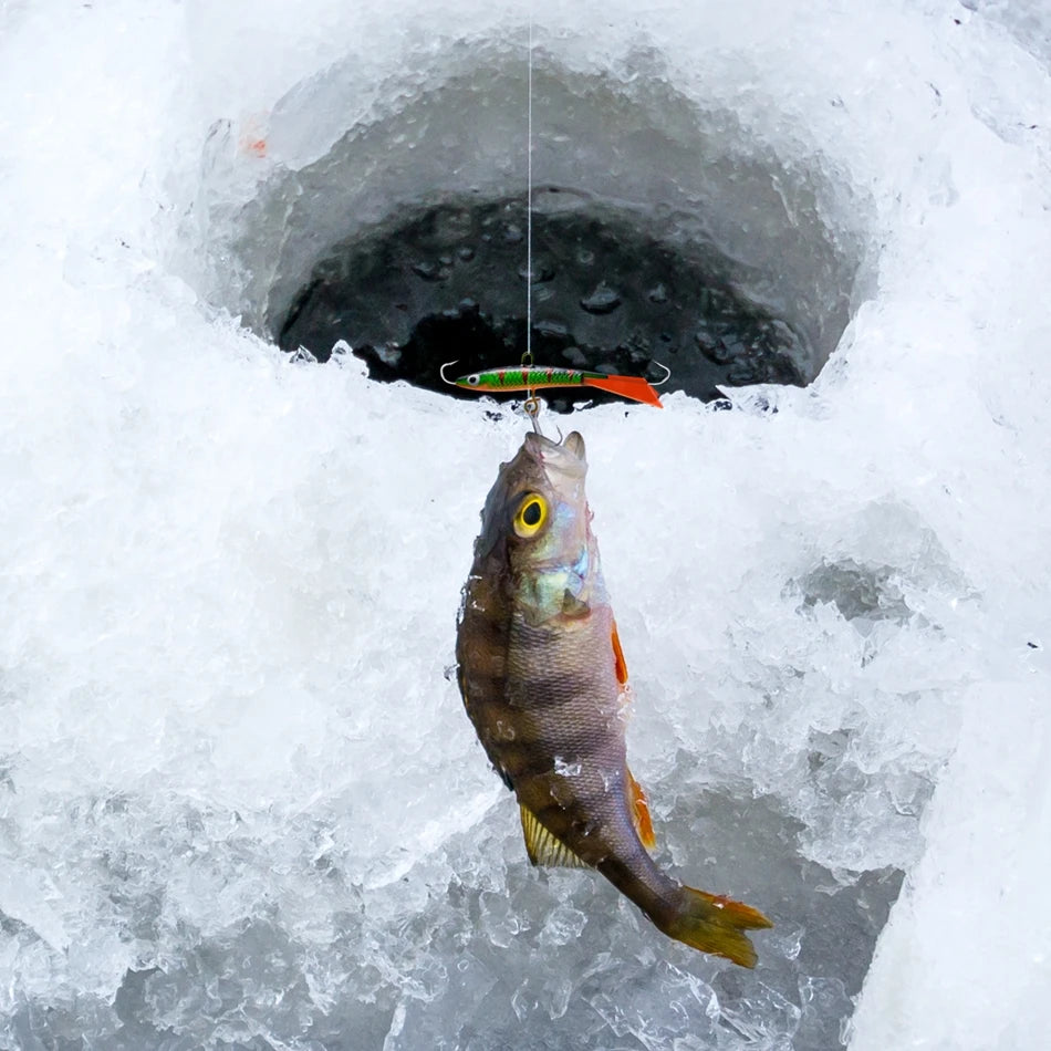 Goture-isca profissional de pesca no gelo, conjunto de tipo 5 para escolher, para truta, baixo, lúcio, carpa, inverno, novo estilo, 2021