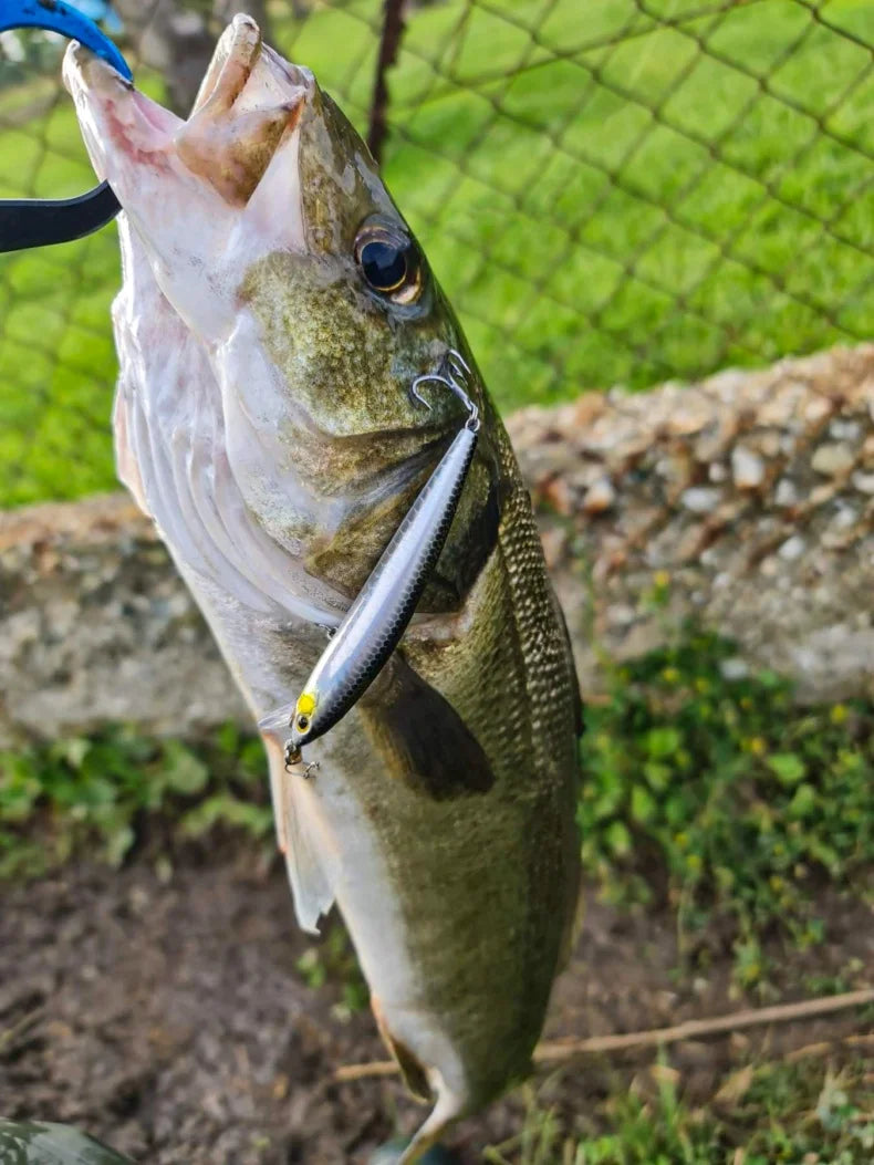 Kingdom sp sombra iscas de pesca 6.5g 9g 14g 14.2g pendurado minnow wobbler manivela iscas artificial mar baixo pique equipamento de pesca